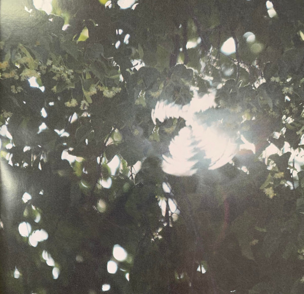 I Love You I'm Trying cover